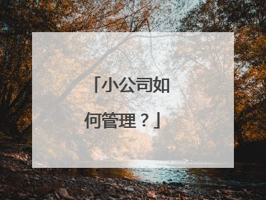 小公司如何管理?