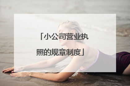 小公司营业执照的规章制度
