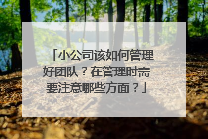 小公司该如何管理好团队?在管理时需要注意哪些方面?