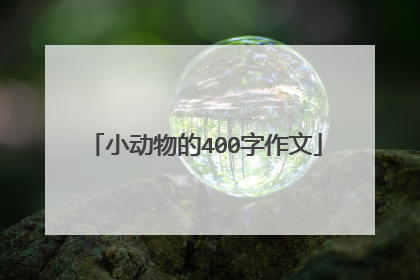 小动物的400字作文