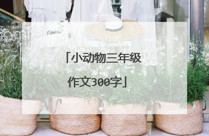 小动物三年级作文300字