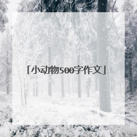 小动物500字作文