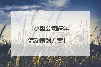 小型公司跨年活动策划方案