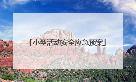 小型活动安全应急预案