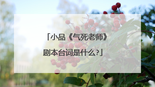 小品《气死老师》剧本台词是什么?
