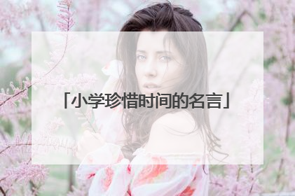小学珍惜时间的名言