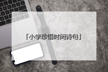 小学珍惜时间诗句