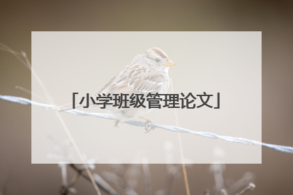 小学班级管理论文