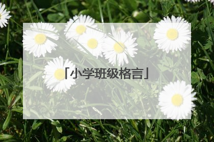 小学班级格言