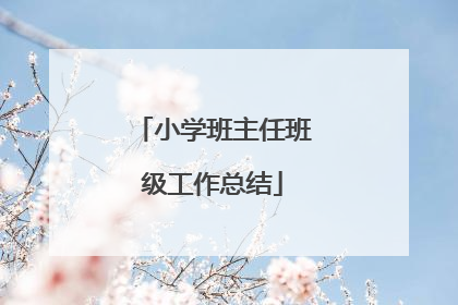 小学班主任班级工作总结