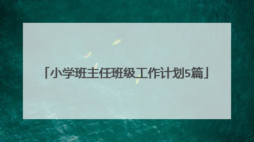 小学班主任班级工作计划5篇