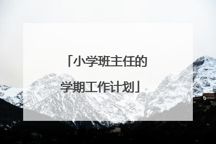 小学班主任的学期工作计划