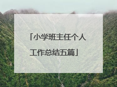 小学班主任个人工作总结五篇