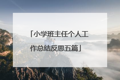 小学班主任个人工作总结反思五篇