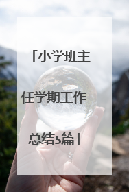 小学班主任学期工作总结5篇