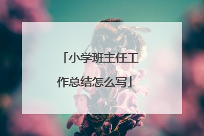 小学班主任工作总结怎么写