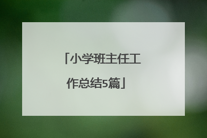 小学班主任工作总结5篇