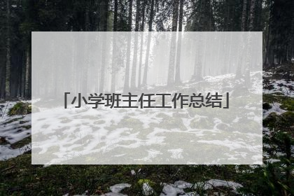 小学班主任工作总结