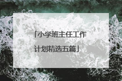 小学班主任工作计划精选五篇