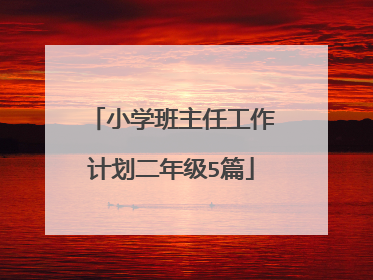 小学班主任工作计划二年级5篇