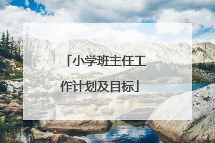 小学班主任工作计划及目标