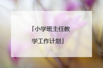 小学班主任教学工作计划