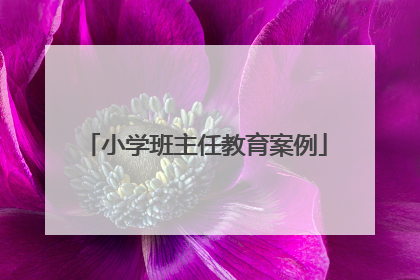 小学班主任教育案例