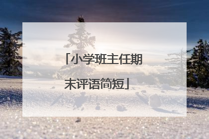 小学班主任期末评语简短