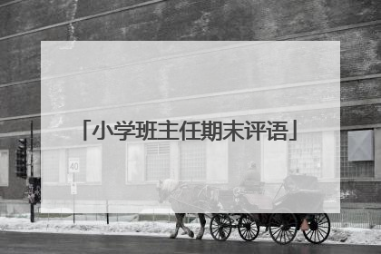 小学班主任期末评语