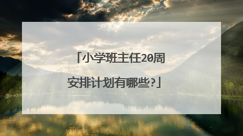 小学班主任20周安排计划有哪些?