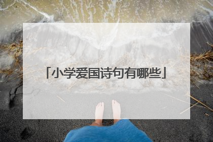 小学爱国诗句有哪些