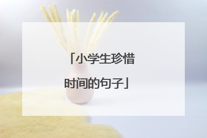 小学生珍惜时间的句子