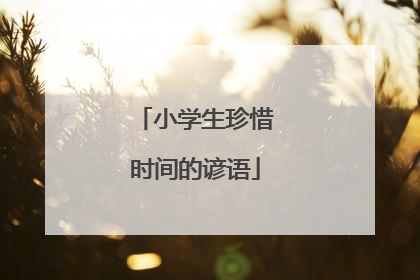 小学生珍惜时间的谚语