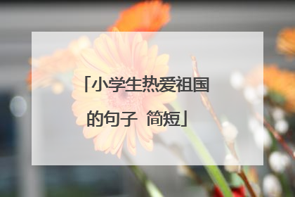 小学生热爱祖国的句子 简短