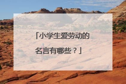 小学生爱劳动的名言有哪些？