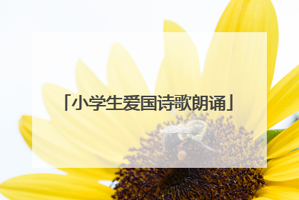 小学生爱国诗歌朗诵