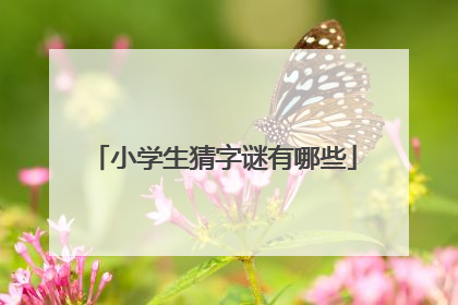 小学生猜字谜有哪些