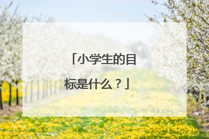 小学生的目标是什么?