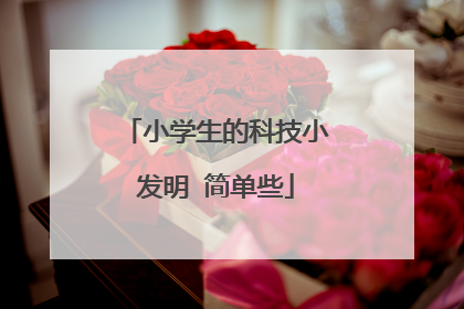 小学生的科技小发明 简单些
