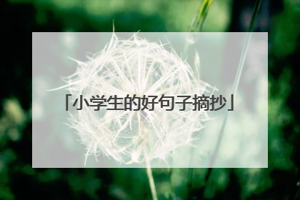 小学生的好句子摘抄