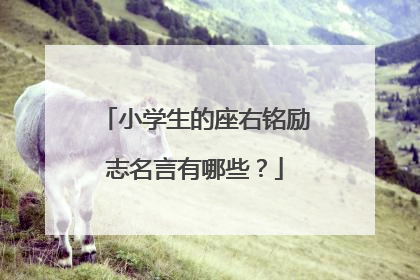 小学生的座右铭励志名言有哪些?