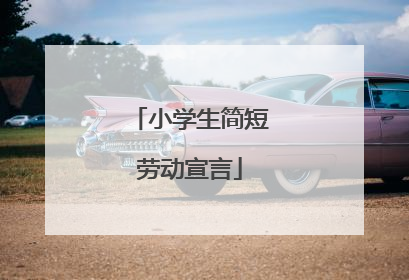 小学生简短劳动宣言