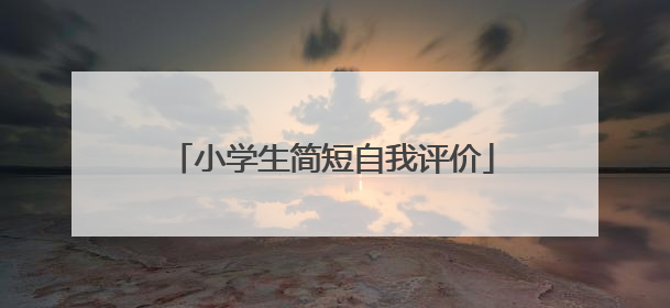 小学生简短自我评价