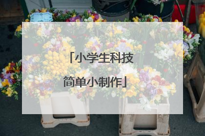 小学生科技简单小制作