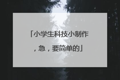 小学生科技小制作,急,要简单的