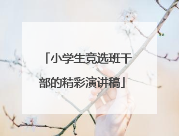 小学生竞选班干部的精彩演讲稿