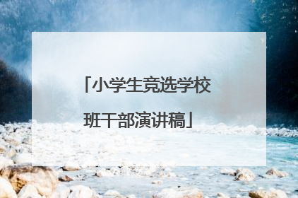 小学生竞选学校班干部演讲稿