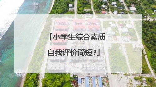 小学生综合素质自我评价简短?
