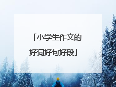 小学生作文的好词好句好段