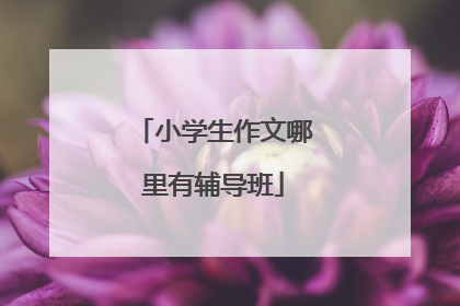 小学生作文哪里有辅导班
